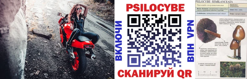 Купить где  Бузулук  Галлюциногенные грибы Psilocybine cubensis 